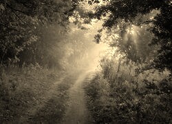 Sepia
