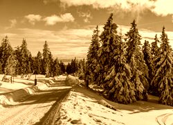 Sepia