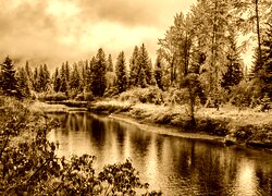 Sepia