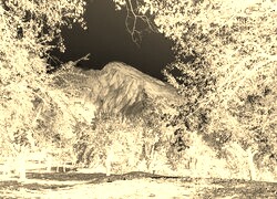 Sepia + Negatyw