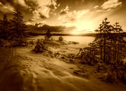 Sepia