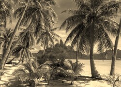 Szary + Sepia