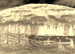 Sepia + Negatyw