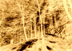 Sepia + Negatyw