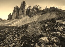 Szary + Sepia