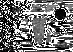 Skamielina