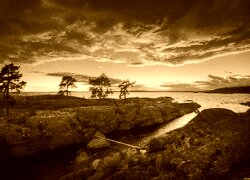 Sepia