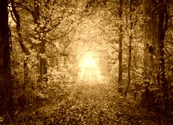 Sepia