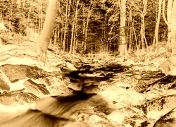Sepia + Negatyw