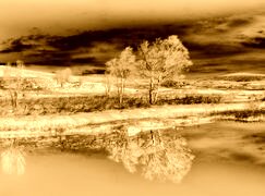 Sepia + Negatyw