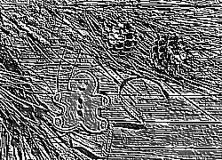 Skamielina