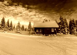 Sepia