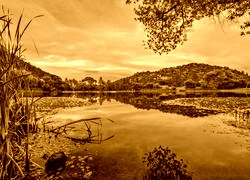 Sepia