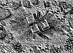 Skamielina
