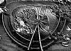 Skamielina