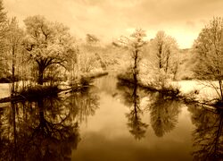 Sepia