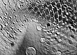 Skamielina