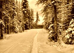 Sepia