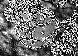Skamielina