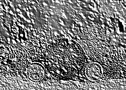 Skamielina