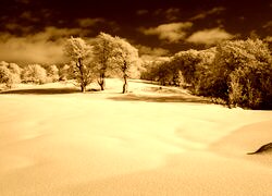 Sepia