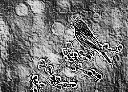 Skamielina