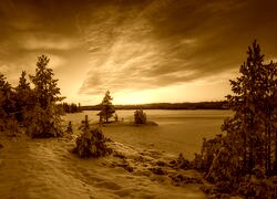 Sepia