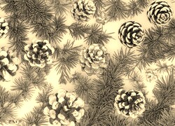 Szary + Sepia