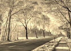 Sepia