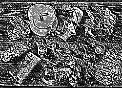 Skamielina