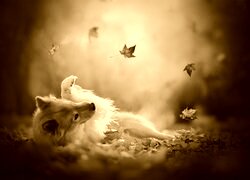 Sepia