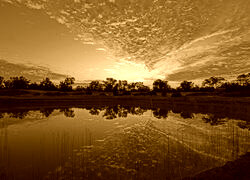 Sepia