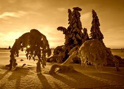 Sepia