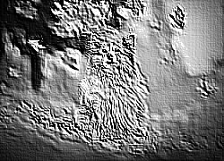 Skamielina