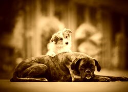 Sepia