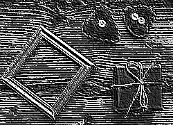 Skamielina