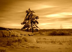 Sepia