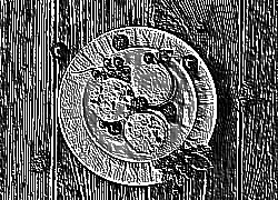 Skamielina