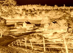 Sepia + Negatyw