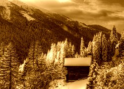 Sepia