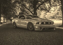 Szary + Sepia