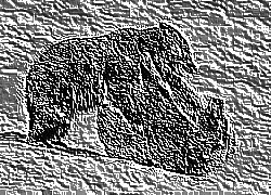Skamielina