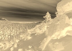 Sepia + Negatyw