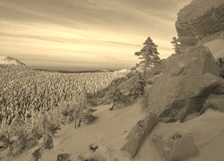 Sepia