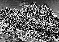 Skamielina
