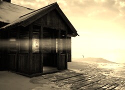 Szary + Sepia