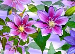 Oryginalny obrazek