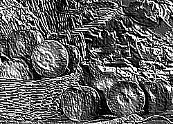 Skamielina