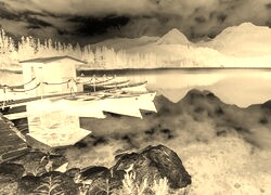 Sepia + Negatyw