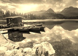 Szary + Sepia